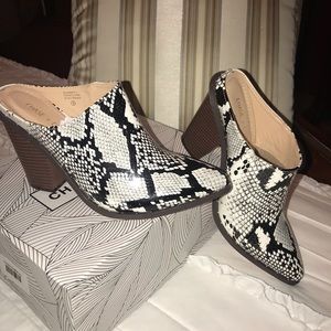 Snakeskin mules